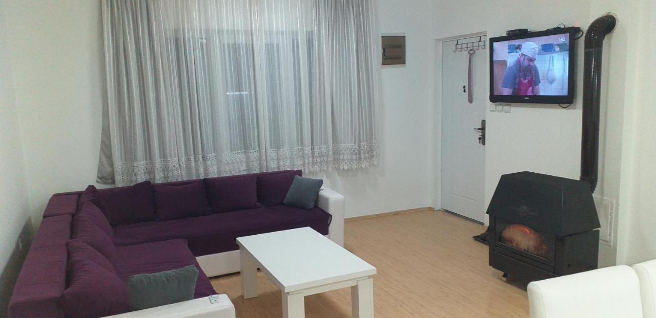 Apartmani Grza パラチン エクステリア 写真