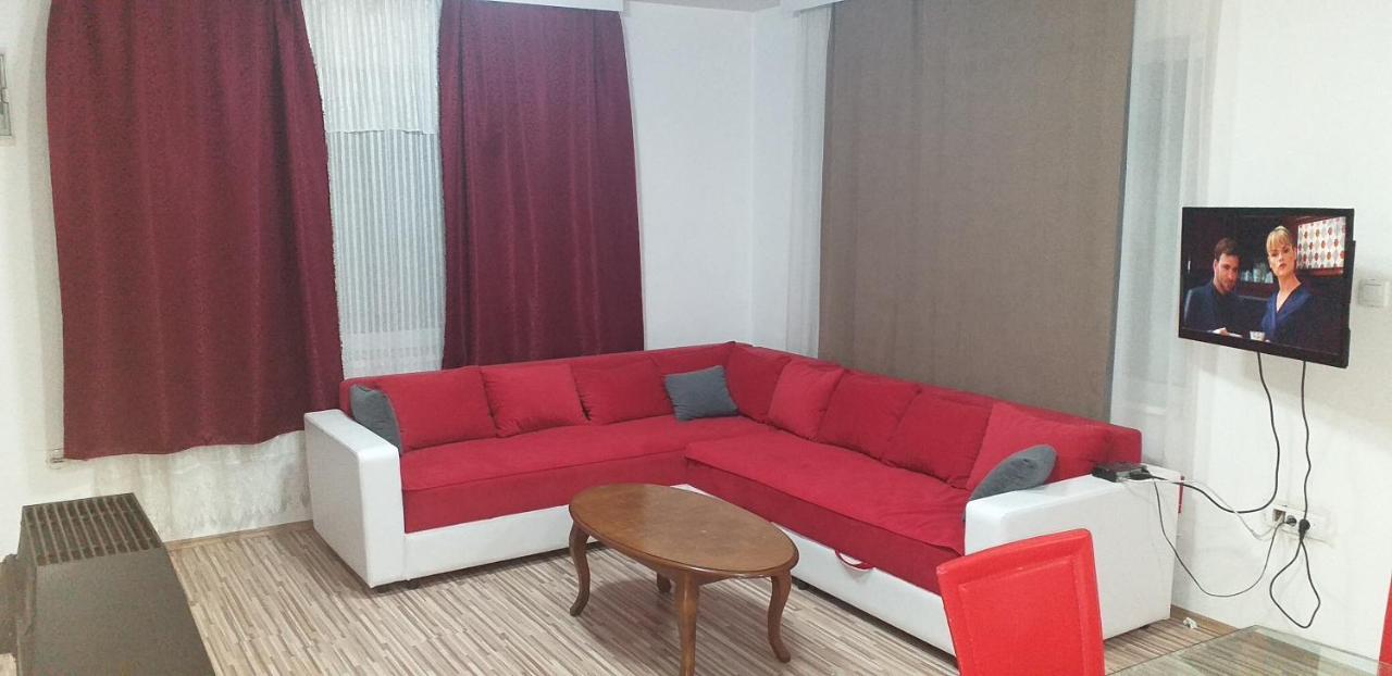 Apartmani Grza パラチン エクステリア 写真