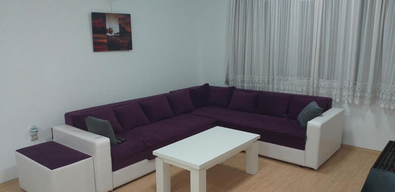 Apartmani Grza パラチン エクステリア 写真