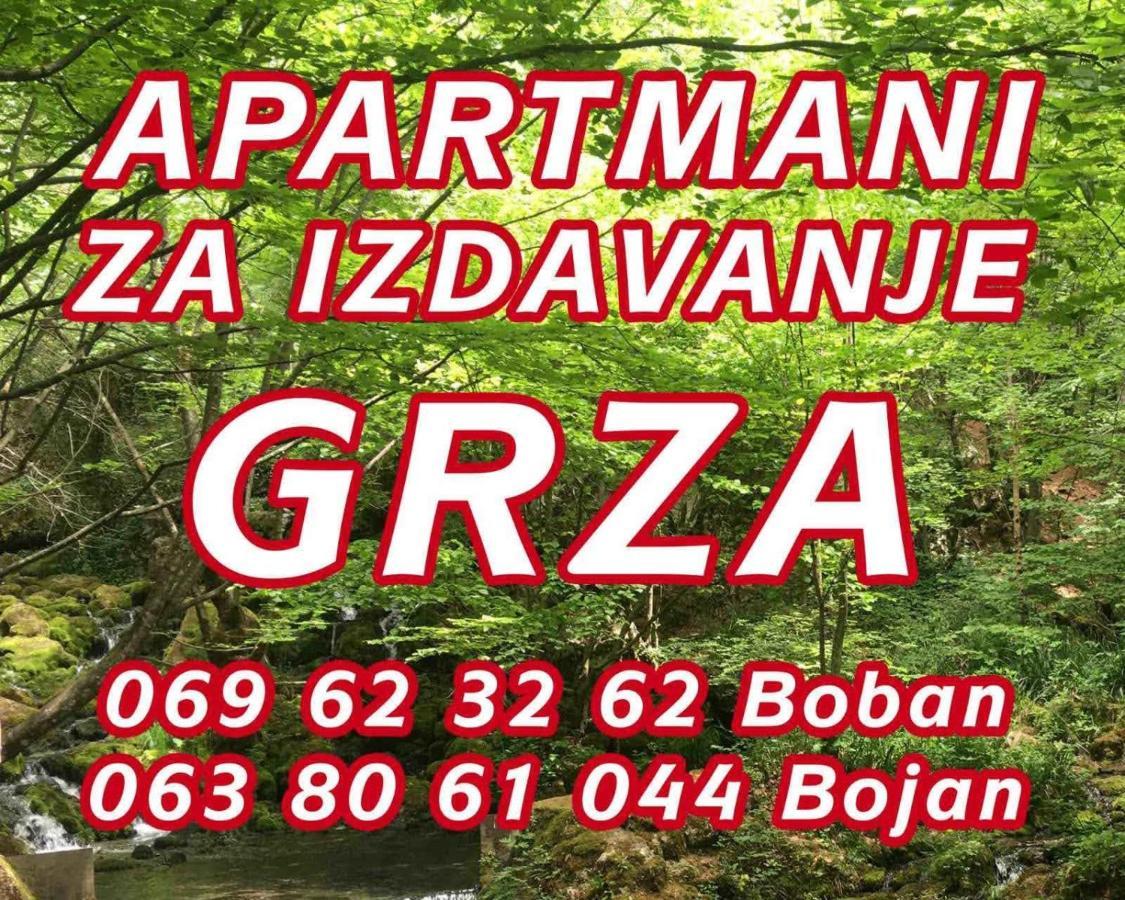 Apartmani Grza パラチン エクステリア 写真
