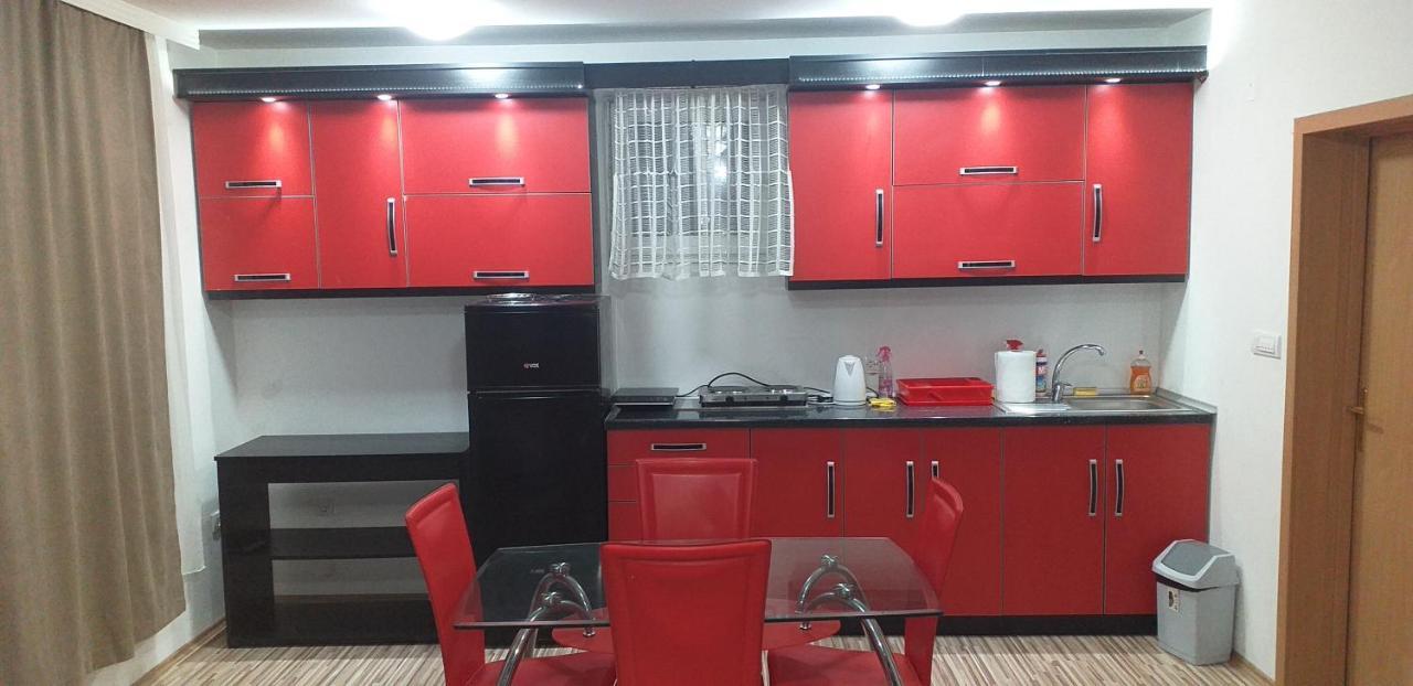 Apartmani Grza パラチン エクステリア 写真