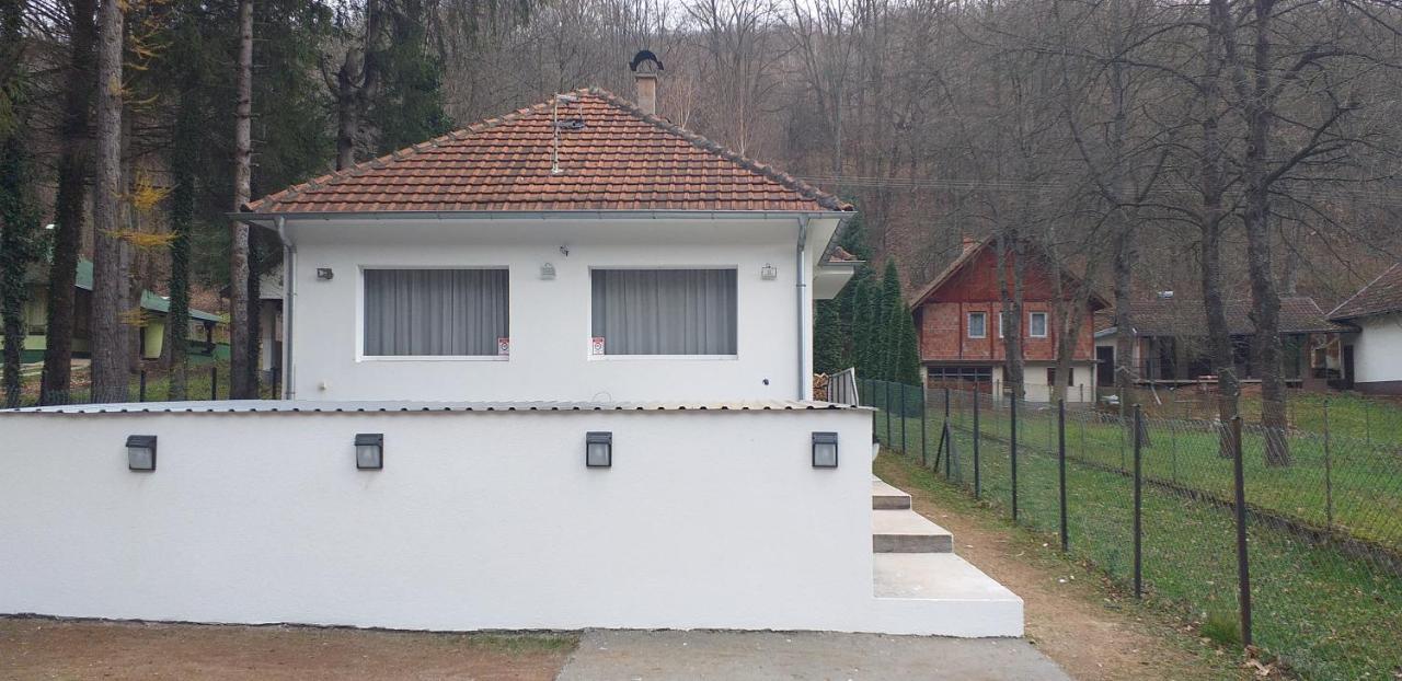 Apartmani Grza パラチン エクステリア 写真