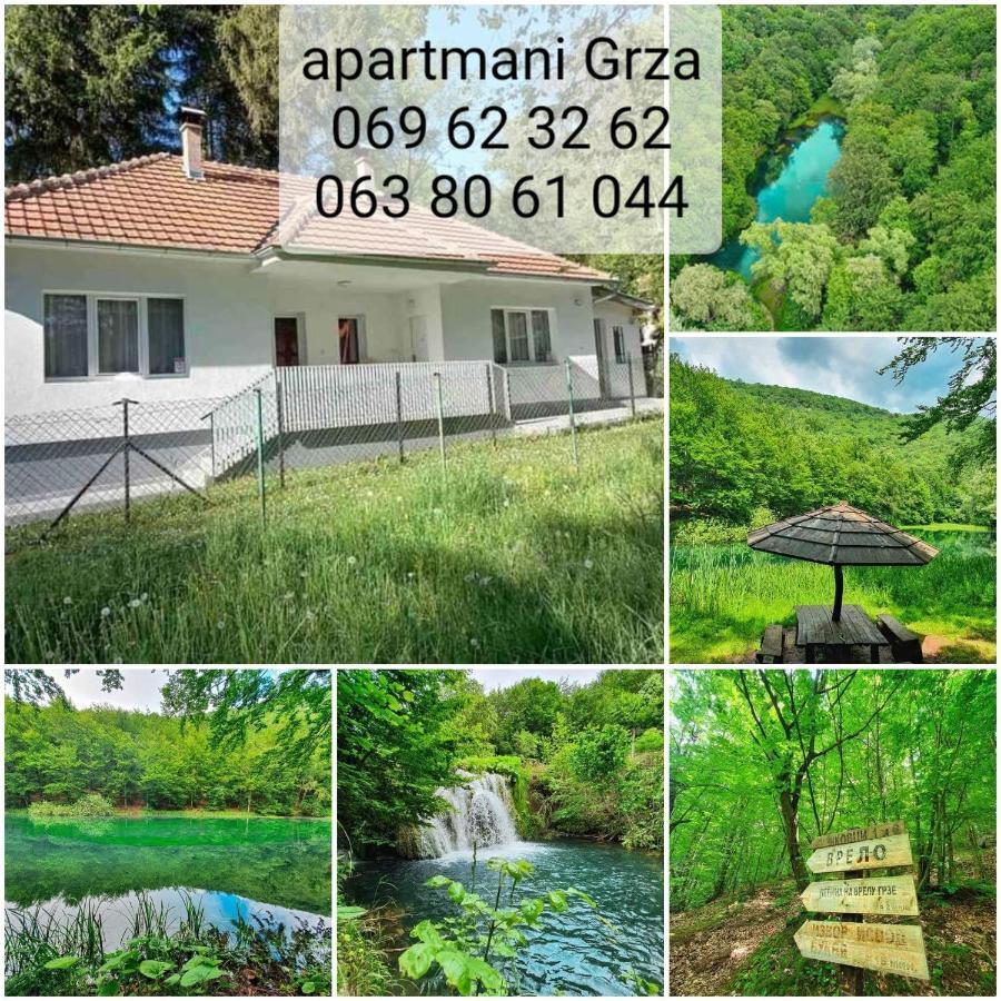 Apartmani Grza パラチン エクステリア 写真