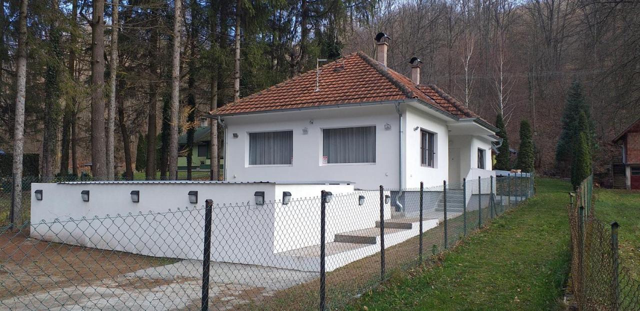 Apartmani Grza パラチン エクステリア 写真
