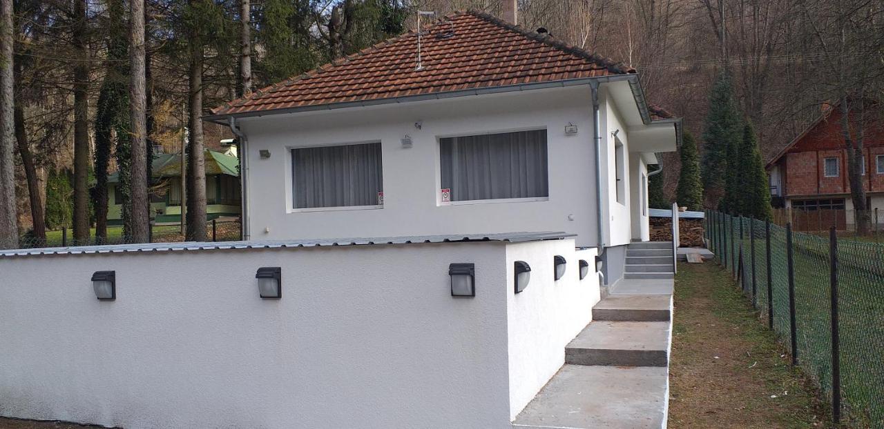 Apartmani Grza パラチン エクステリア 写真