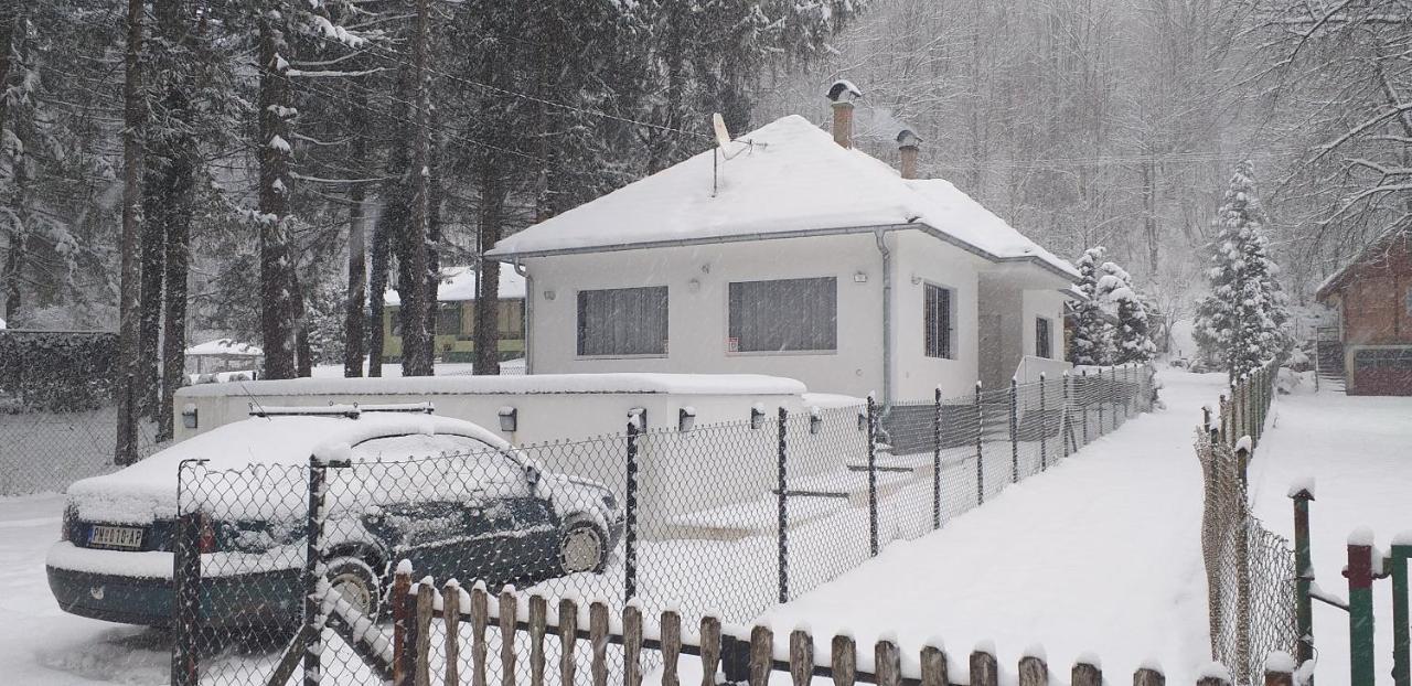 Apartmani Grza パラチン エクステリア 写真